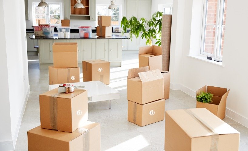 Why Pick Bear Couriers & Removals House Removals