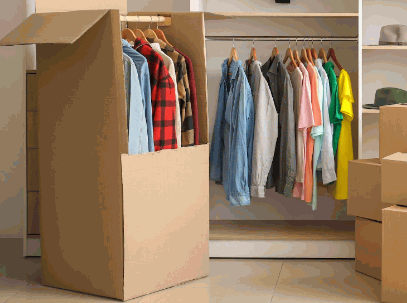 Use Clothing Bags Or Wardrobe
